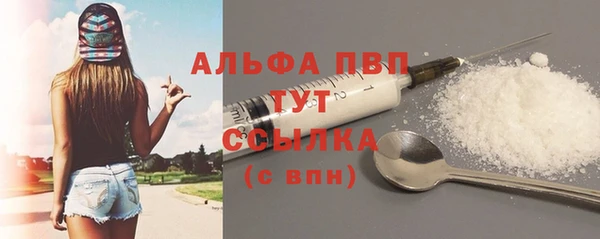 стафф Россошь