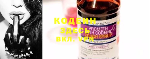 стафф Россошь