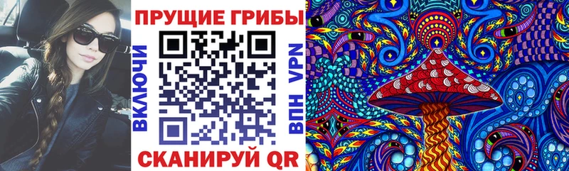 Псилоцибиновые грибы Psilocybe закладка Вичуга