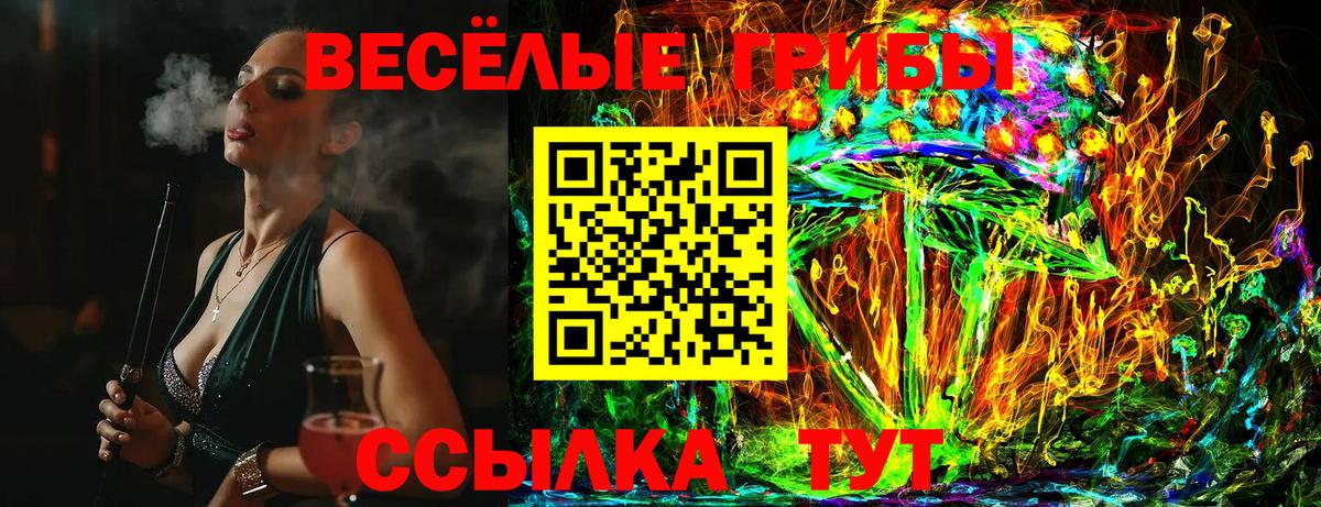Псилоцибиновые грибы Psilocybine cubensis Вичуга